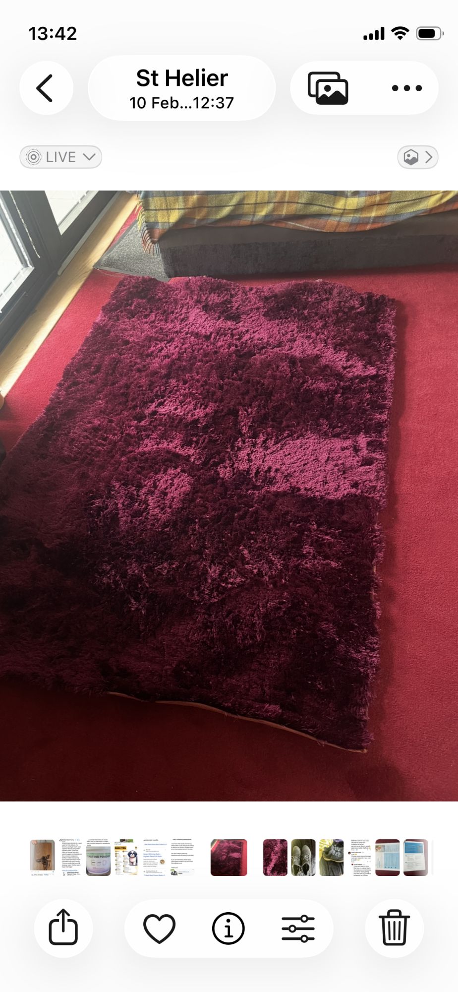 Deep Burgundy Rug shag pile